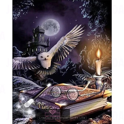 Harry Potter Owl Full 11CT pre-stamped canvas 40*50cm cross stitch