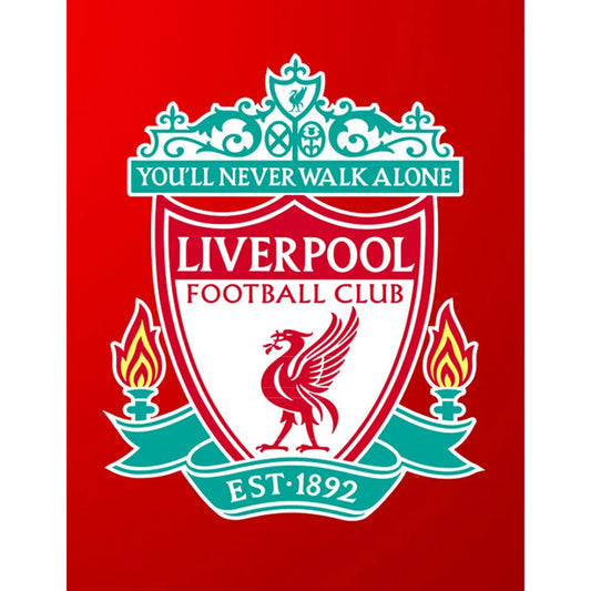 Liverpool Football Team Logo 20*30cm full square drill diamond painting