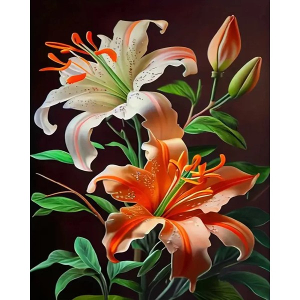 Lily 40*50cm full square drill diamond painting