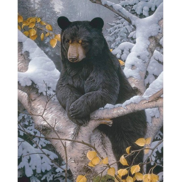 Winter Bear Full 11CT Pre-stamped 50*40cm cross stitch