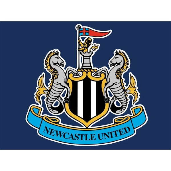 Newcastle United Crest 40*30cm full round drill diamond painting