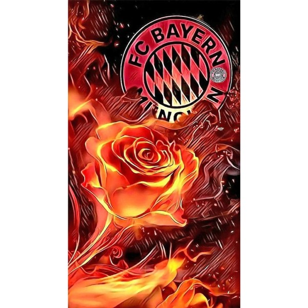 Bayern Munich Football Club 30*50cm full round drill diamond painting