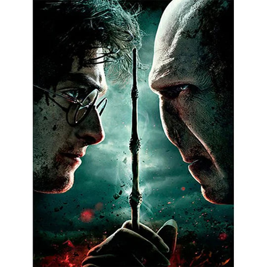 Harry Potter and The Wizard 30*40cm full round drill diamond painting