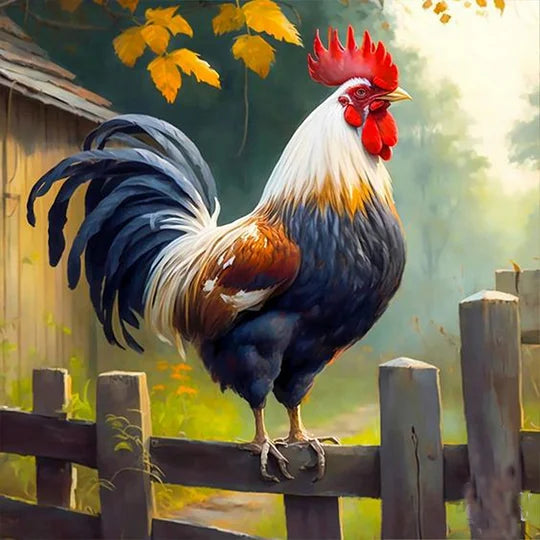 Rooster 30*30cm full round drill diamond painting