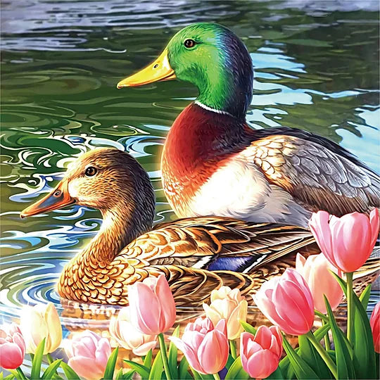 Ducks In The Pond 30*30cm full round drill diamond painting