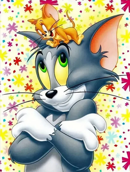Cat Tom and Jerry 40*50cm full round drill diamond painting