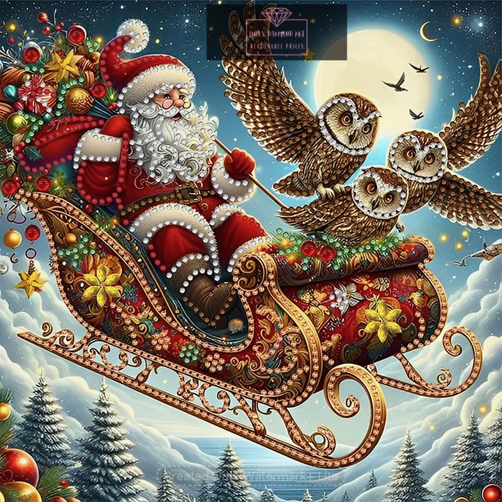 Santa Owl 30*30cm special shaped drill diamond painting