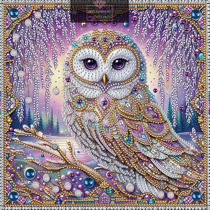 Owl 30*30cm special shaped drill diamond painting