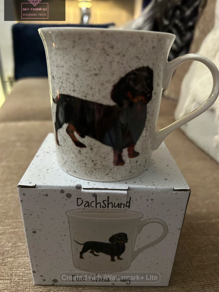 Mug with box - Dachshund