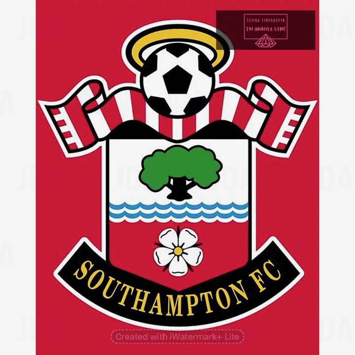 Southampton Football Club Logo 40*50cm full round drill diamond painting with AB drills