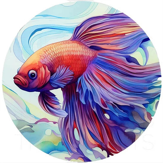 Betta Fish 30*30cm full round drill diamond painting