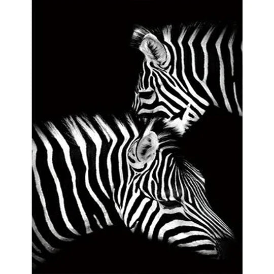 Personality Zebra 50*60cm full round drill diamond painting