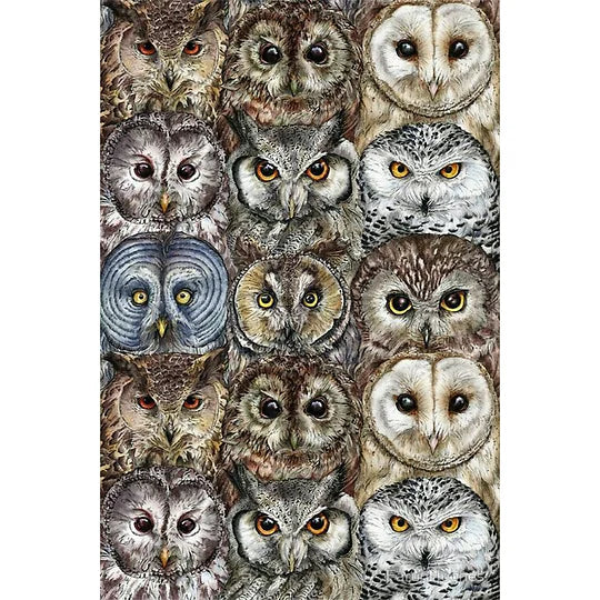 Line Up Owls 40*60cm (canvas) full round drill diamond painting