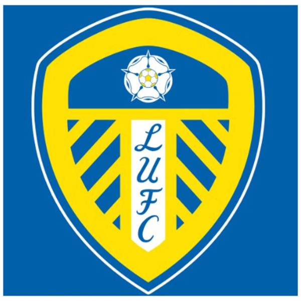 Leeds United Logo 30*30cm full round drill diamond painting