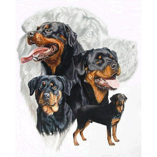 Dogs Group 40*30cm full round drill diamond painting