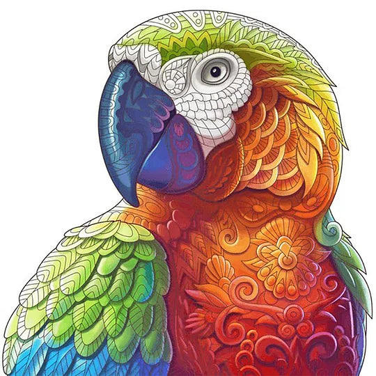 Colourful Parrot 30*30cm full round drill diamond painting