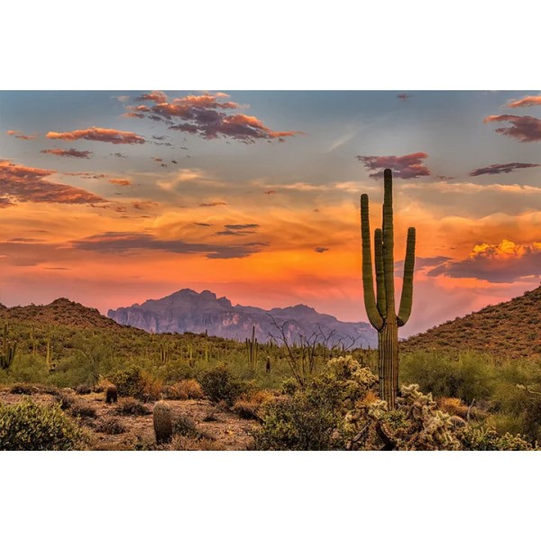 Sunset Over Cactus Sonoran Desert 45*30cm full round drill diamond painting