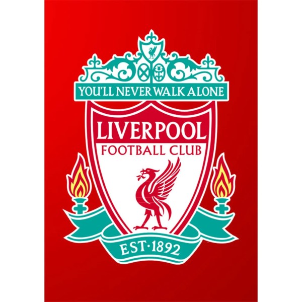 Liverpool 35*45cm round drill diamond painting