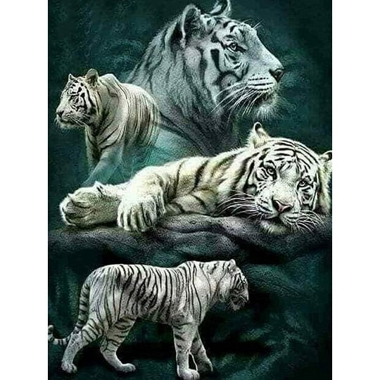 Forest Tigers 40*50cm full round drill diamond painting