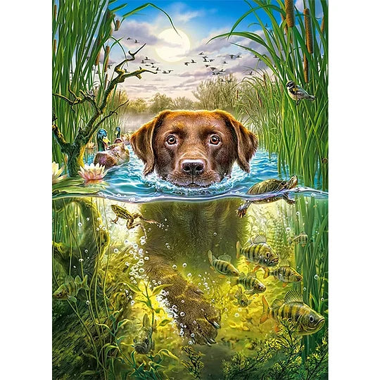 Swimming Dog Full 11CT Pre-stamped 50*65cm Cross Stitch