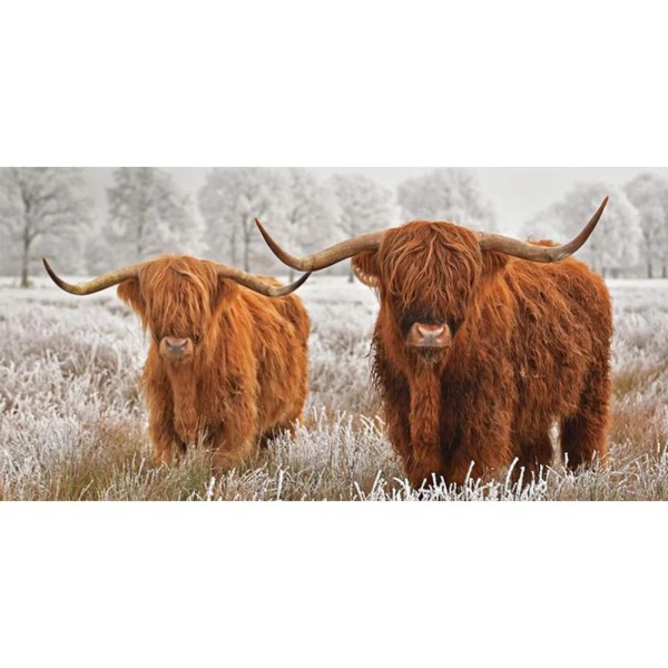 Highland Yak 80*40cm full square drill diamond painting