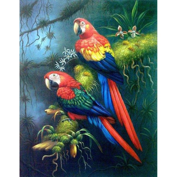 Parrot 30*40cm full round drill diamond painting