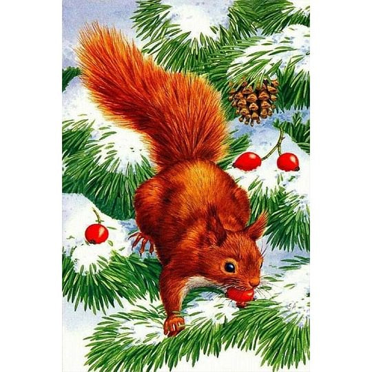 Squirrel 40*60cm full round drill diamond painting