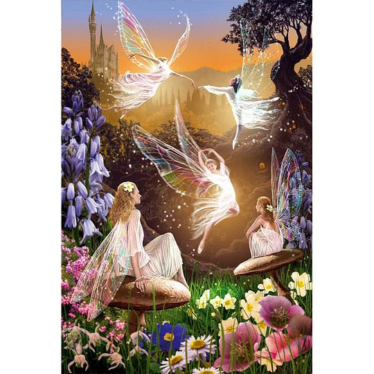 Elf Fairy 30*50cm full round drill diamond painting