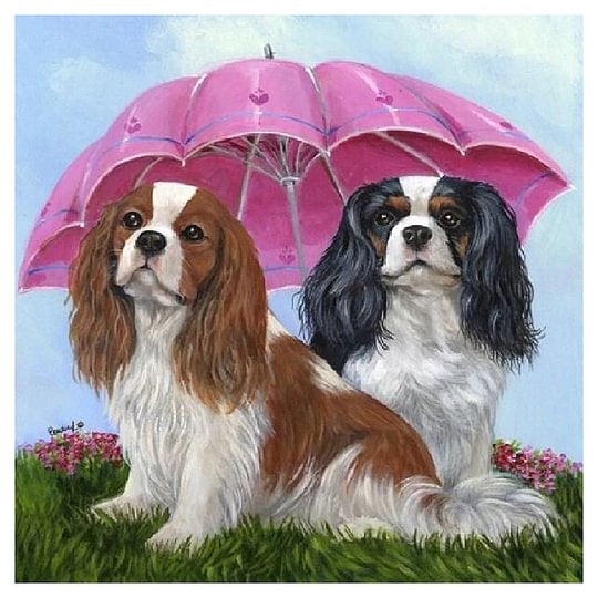 Umbrella Dogs 40*40cm full round drill diamond painting