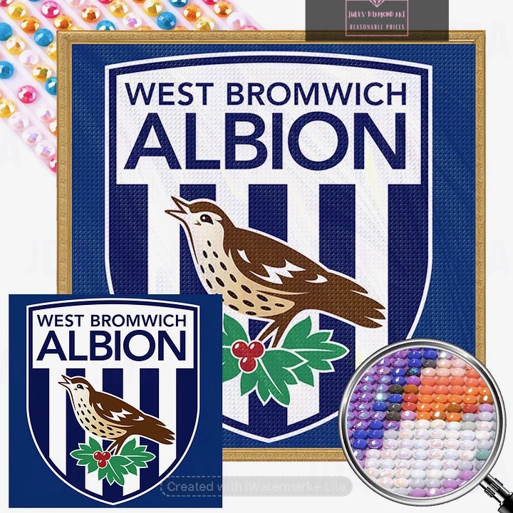 West Bromwich Football Club 40*40cm round drill diamond painting with AB drills