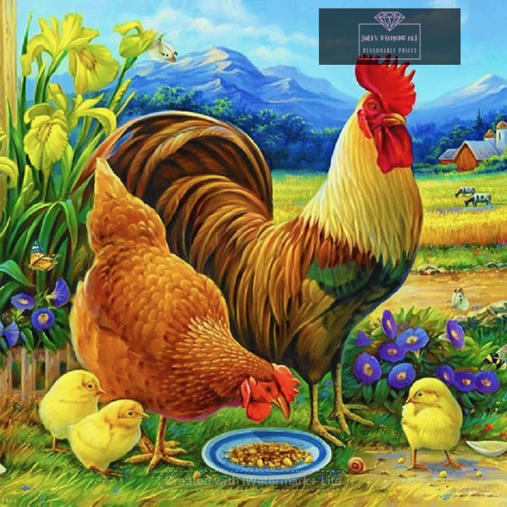 Rooster 30*30cm full round drill diamond painting