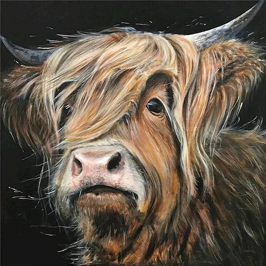 Highland Yak 45*45cm full round drill diamond painting