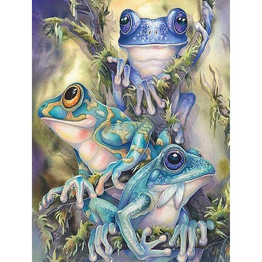 Frog 30*40cm full square drill diamond painting