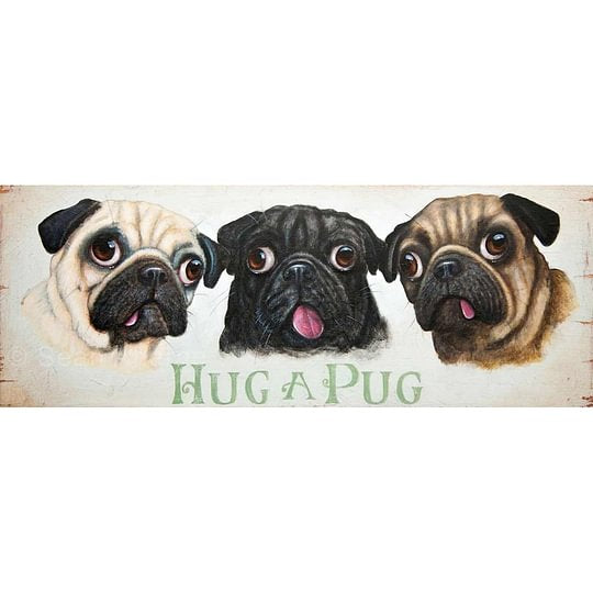 Pug Dog Pictorial