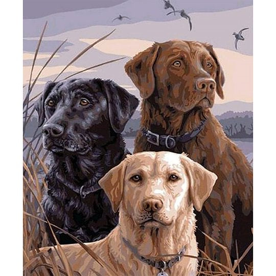 Three Labrador Dogs In The Reeds 25*30cm full square drill diamond painting