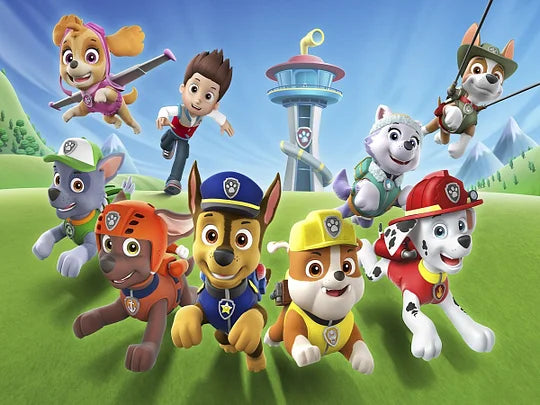 Paw Patrol Dog 50*35cm full round drill diamond painting