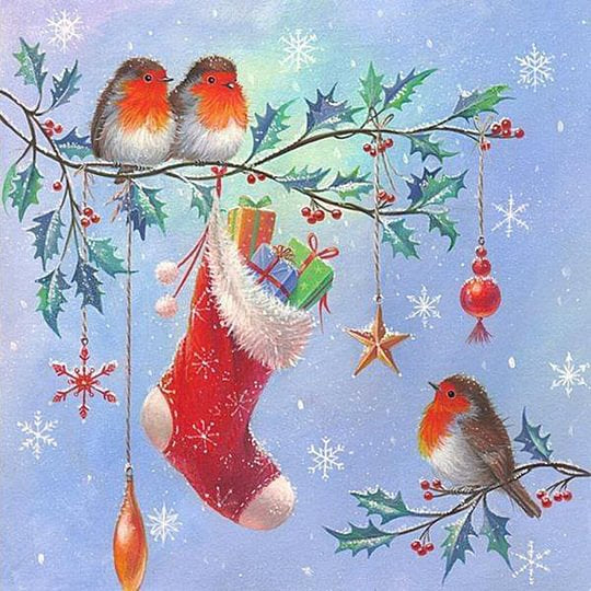 Birds Christmas Stockings 30*30cm full round drill diamond painting