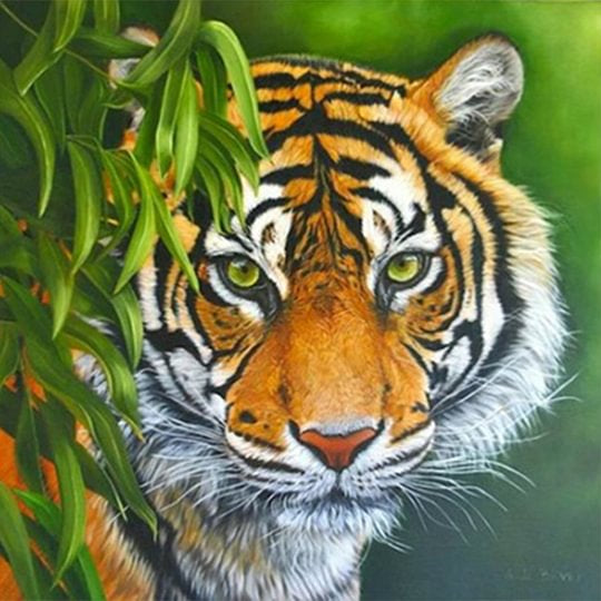 Tiger 30*30cm full round drill diamond painting