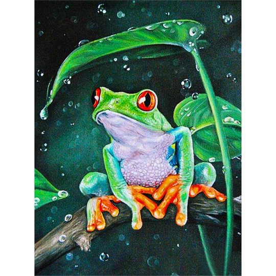 Frog 40*50cm full round drill diamond painting