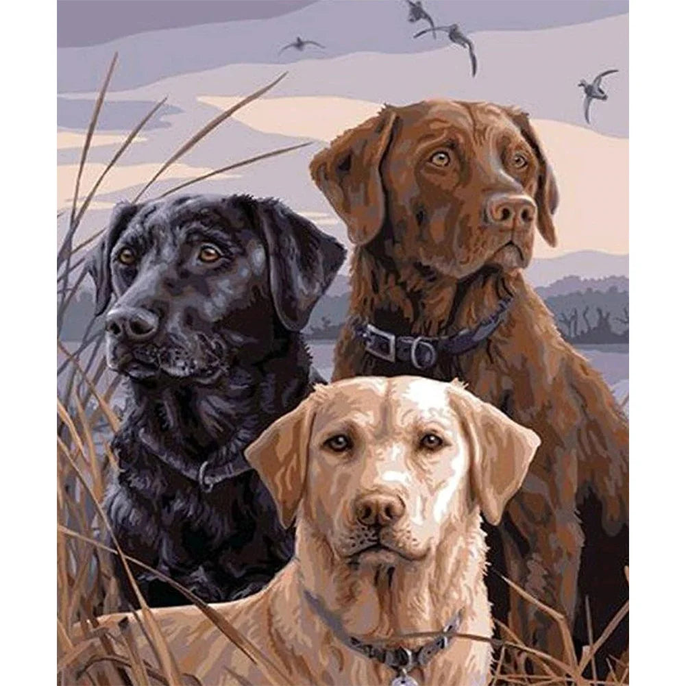 Three Labrador Dogs in The Reeds